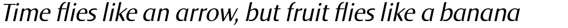 Norma Pro Italic