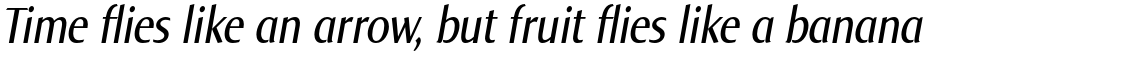 Norma Pro Condensed Italic