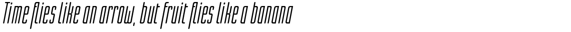Linotype Lichtwerk Pro Italic