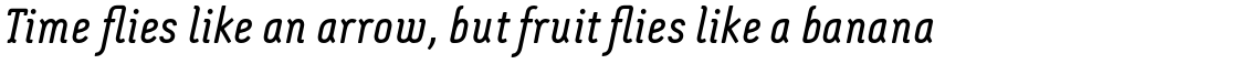 Montix Pro Italic