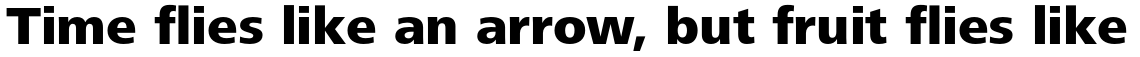 Frutiger Next Pro Heavy