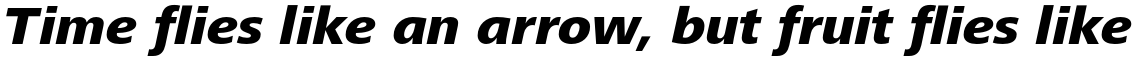 Frutiger Next Pro Heavy Italic