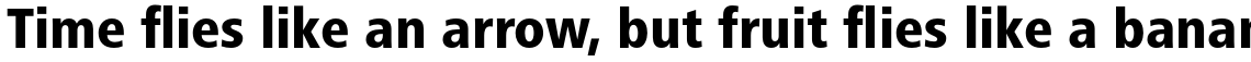 Frutiger Next Pro Condensed Heavy