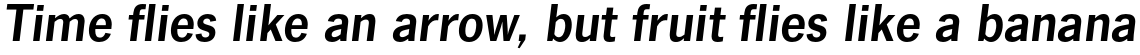 News Gothic No. 2 Std Bold Italic