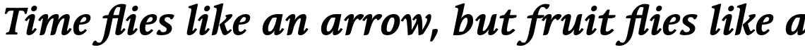 Linotype Syntax Serif Std Bold Italic