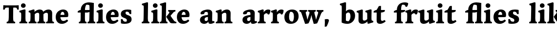 Linotype Syntax Serif Std Heavy