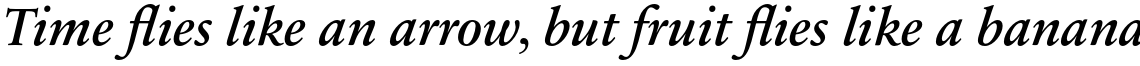 Sabon Next Pro Demi Italic