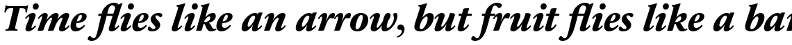 Sabon Next Pro Extra Bold Italic