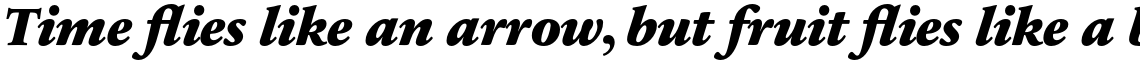 Sabon Next Pro Black Italic