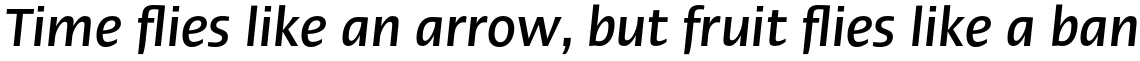 Linotype Ergo Pro Medium Condensed Italic
