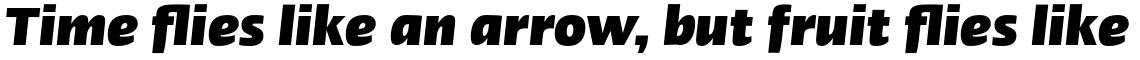 Linotype Ergo Pro Black Condensed Italic