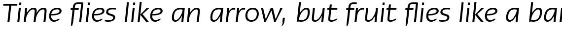 Linotype Ergo Pro Italic