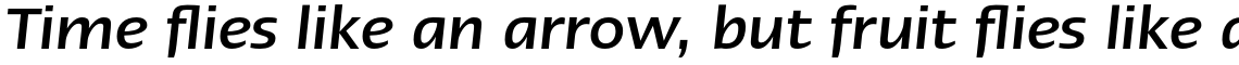Linotype Ergo Pro Medium Italic