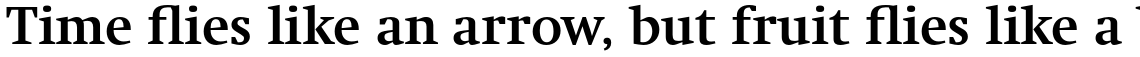 Swift Pro Bold