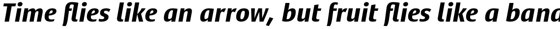 Satero Sans Pro Bold Italic