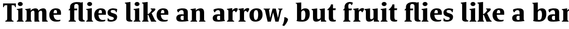 Satero Serif Pro Bold