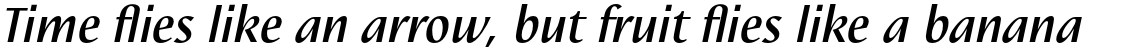 Linotype Nautilus Pro Medium Italic