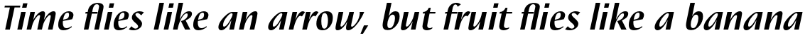Linotype Nautilus Pro Bold Italic