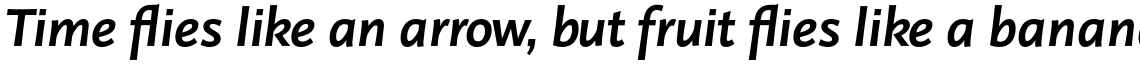 Linotype Projekt Pro Bold Italic