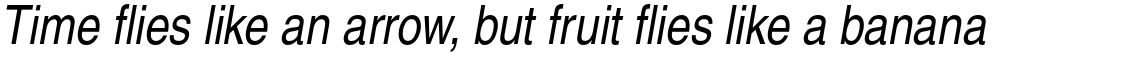 Helvetica Pro Narrow Roman Oblique