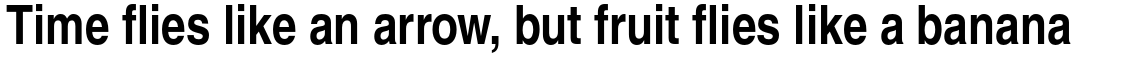 Helvetica Pro Narrow Bold