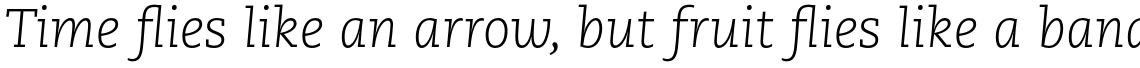 PMN Caecilia Pro 46 Light Italic