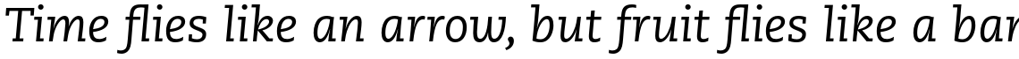 PMN Caecilia Pro 56 Italic
