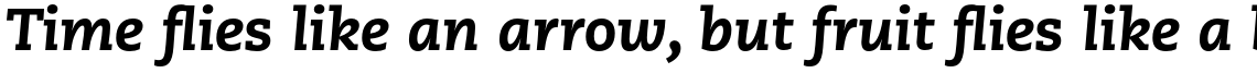 PMN Caecilia Pro 86 Heavy Italic
