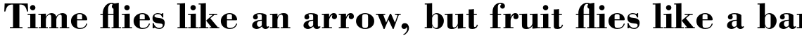 Bodoni Pro Bold