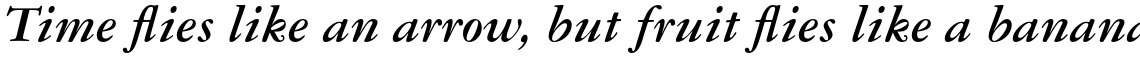 Garamond #3 Pro Bold Italic