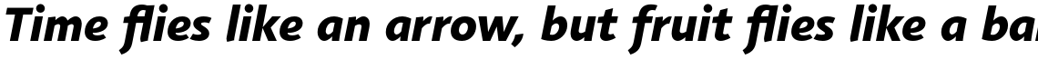Agilita Pro Heavy Italic