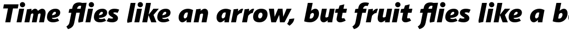 Agilita Pro Black Italic