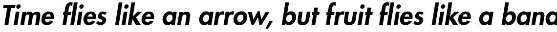 Futura Pro Heavy Oblique