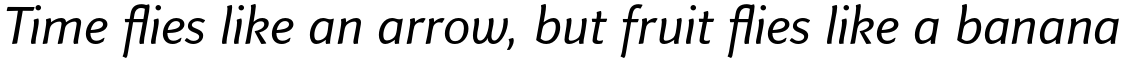 Finnegan Pro Italic