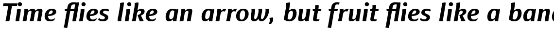 Finnegan Pro Bold Italic