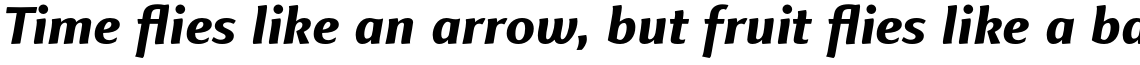 Finnegan Pro Extra Bold Italic