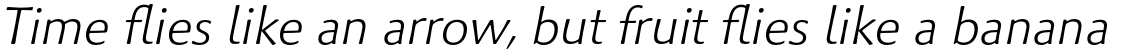 Palatino Sans Pro Light Italic