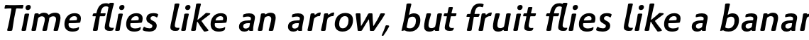 Palatino Sans Pro Medium Italic