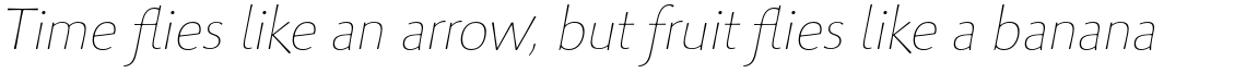 Palatino Sans Informal Pro Ultra Light Italic