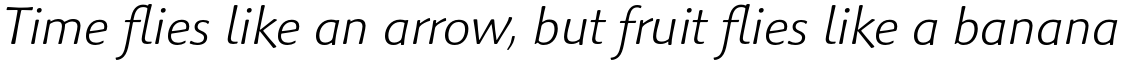 Palatino Sans Informal Pro Light Italic