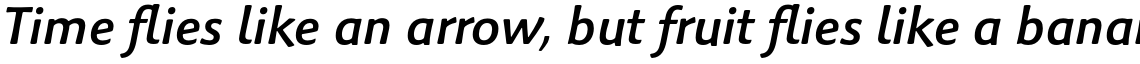 Palatino Sans Informal Pro Medium Italic