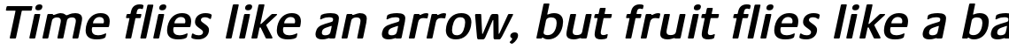 Praxis Pro Semibold Oblique