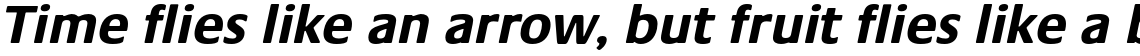 Praxis Pro Bold Oblique