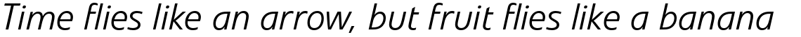 Veto Pro Light Italic