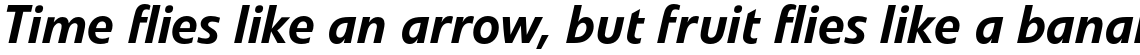Veto Pro Medium Italic
