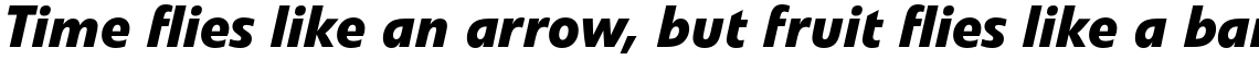 Veto Pro Bold Italic