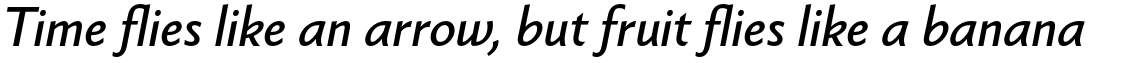 Berling Nova Sans Pro Italic