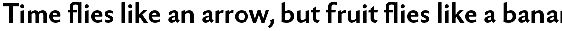 Berling Nova Sans Pro Bold