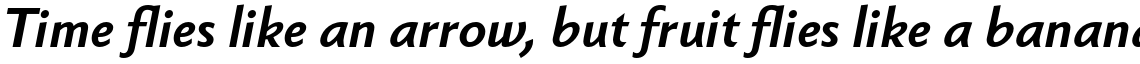 Berling Nova Sans Pro Bold Italic
