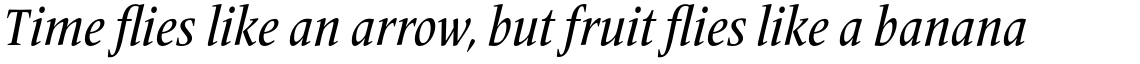 Frutiger Serif Pro Condensed Medium Italic